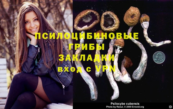 кокс Алексин