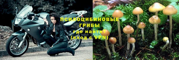 индика Алексеевка