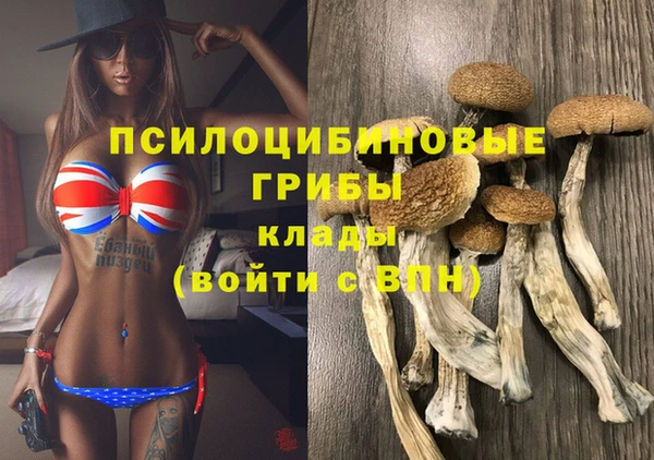 индика Алексеевка
