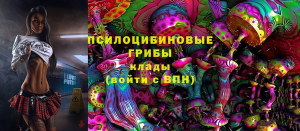 индика Алексеевка