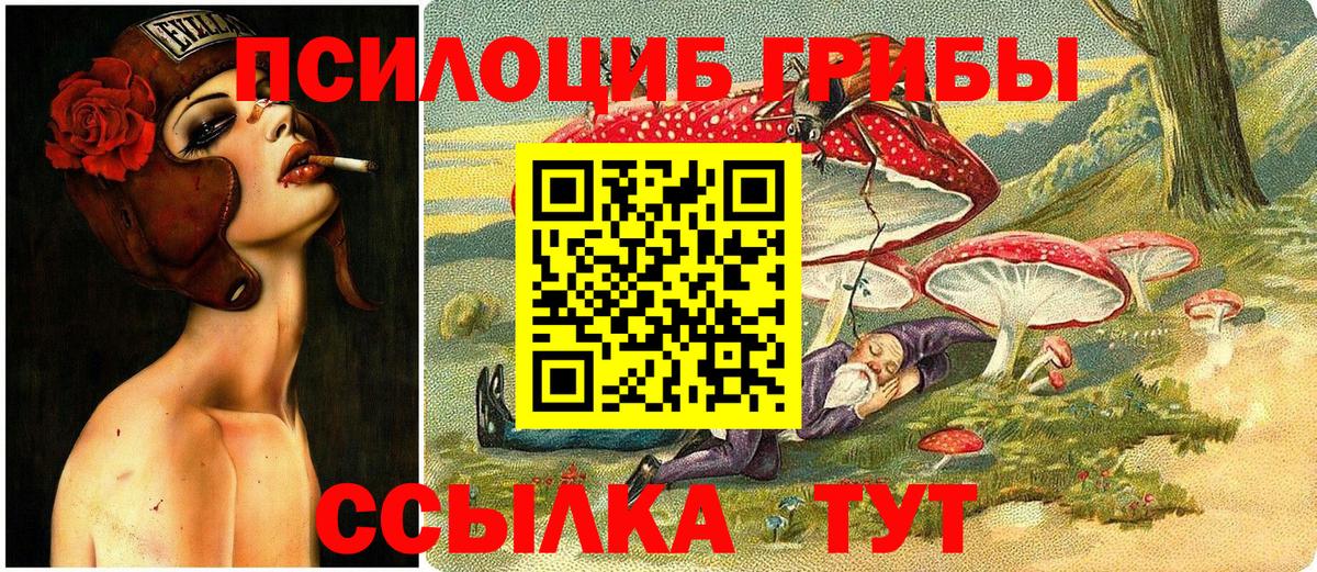 Белебей  Галлюциногенные грибы MAGIC MUSHROOMS  Вход с VPN  Псилоцибиновые грибы GOLDEN TEACHER 
